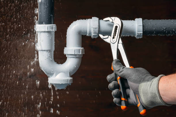 Professional Plumbing technician working in Wentworth, NC